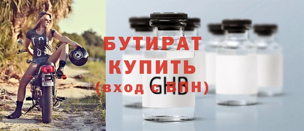 дживик Бородино