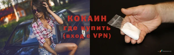 дживик Бородино