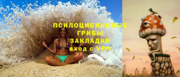 эйфоретик Богородск