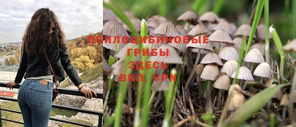 бошки Бронницы