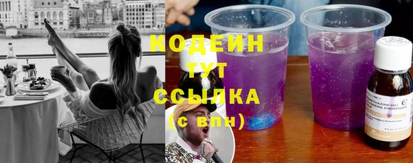 дживик Бородино