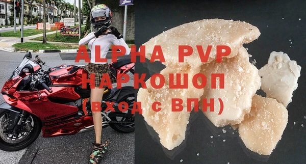 дживик Бородино