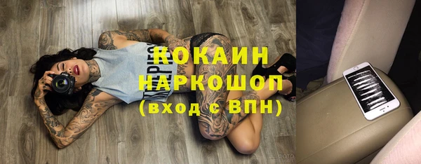 винт Богданович